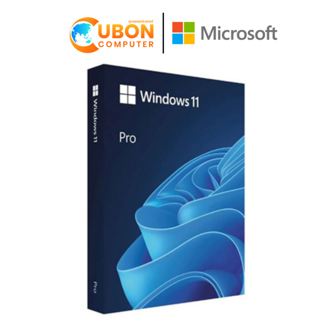 MICROSOFT WINDOWS 11 Pro FPP 64-bit Eng Intl USB (HAV-00163)