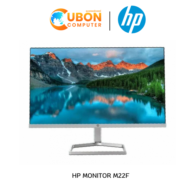 HP MONITOR M22F 