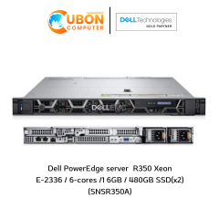 Dell PowerEdge Server R350 Xeon E-2336/6-cores/16GB/480GB SSD(x2)(SNSR350A)