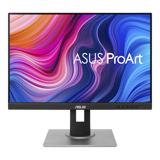 ASUS MONITOR PROART PA248QV