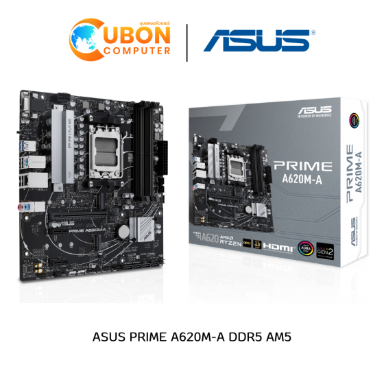 MAINBOARD (เมนบอร์ด) ASUS PRIME A620M-A DDR5 AM5 ประกันศูนย์ 3 ปี