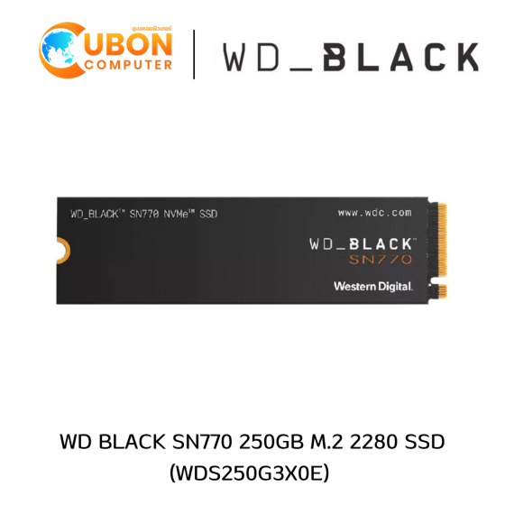 WD BLACK SN770 250GB M.2 2280 SSD (WDS250G3X0E) 