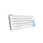 KEYBOARD คีย์บอร์ด DAREU EK868 BLUE SWITCH