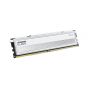 RAM (แรมพีซี) KLEVV FIT V GAMING WHITE OC 16GB (16GBx1) DDR5 5600MHZ CL30